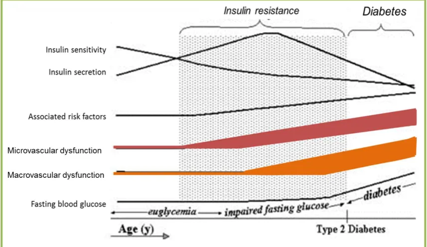 Figure 1.3 Natural history of type 2 diabetes.  