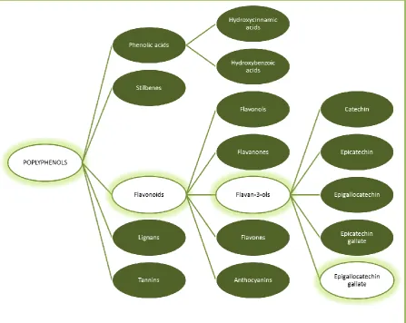Figure 1.4 Polyphenol classification. 