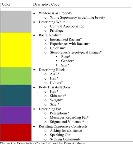 Figure 3.4: Descriptive Codes Utilized for Data Analysis **Stars have been used to denote intersectionalities