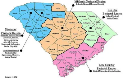 Figure 1.1: Map of SC’s perinatal regions and Regional Perinatal Centers.
