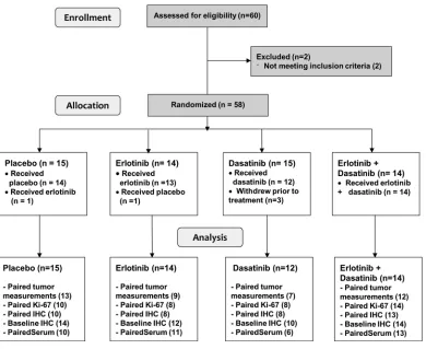 Figure 1. CONSORT diagram. Patient enrollment, allocation, 
