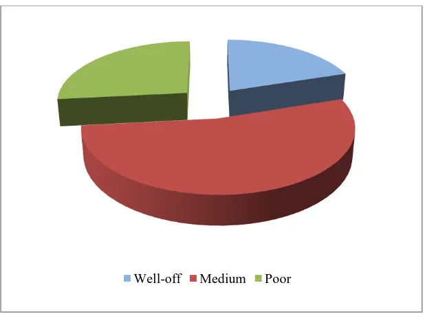 Figure 5-2 Socio-economic class of respondents 