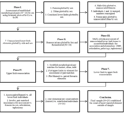 Figure 5.10 Phases of Sorting and Reaassociation at 38GE81 