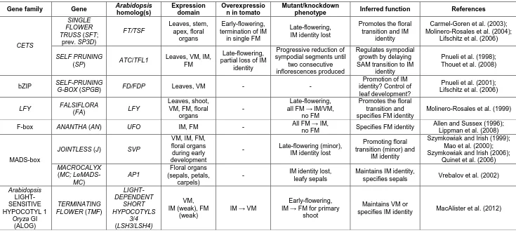 Table 1.2. Summary of key genes important for determining meristem identity during inflorescence development in tomato, focussing on homologs of the Arabidopsis genes shown in Table 1.1