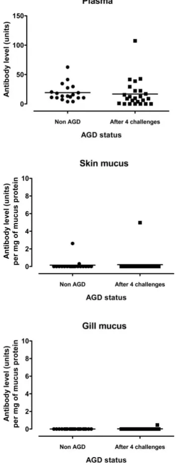 Figure 2.1 Antibody (IgM) levels (units) in plasma and IgM levels in skin mucus and gill mucus 