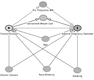 Figure 3.1 Directed Acyclic Graph46