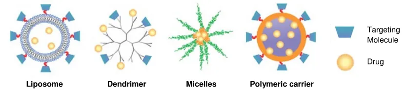 Figure 1.3. Example of nanocarriers (adapted with permission from Dan, P. et al. (2007) Nature Nanotechnology 2, 751 – 760)