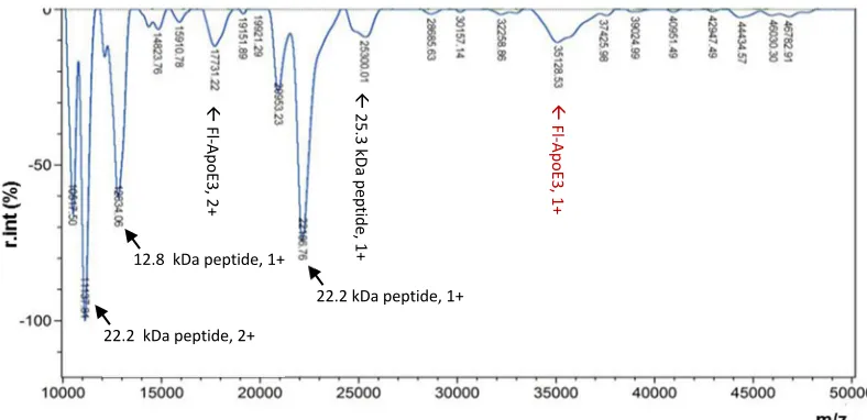 Figure 2.6. MALDI-MS analysis of Fl-ApoE3 showed the molecular mass of Fl-ApoE3 was 35,128.53 m/z (red arrow)
