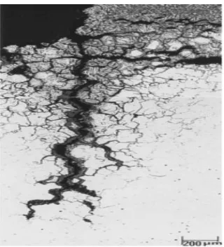 Figure 2.3 An example of intergranular corrosion of Ni-Cr-Fe alloy by molten chloride salt after 6 months at 870°C [29]