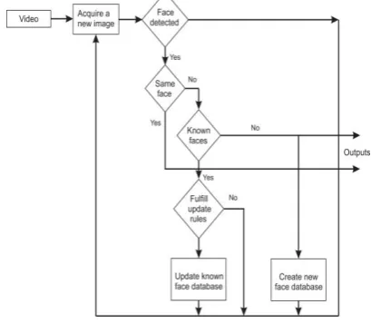 Figure 1. Phases in the process of face recognition