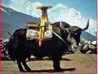 Figure 1: First attempts of GNSS-based animal tracking.