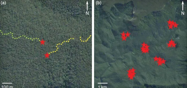 Figure 5: (a) Example of two GNSS trajectories ending with a drop bear attack (denoted by a star), and (b) summary of all drop bear attacks observed.