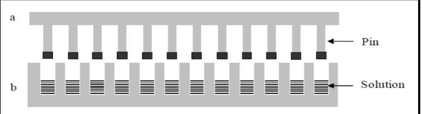 Fig. 1: The Multipin apparatus 