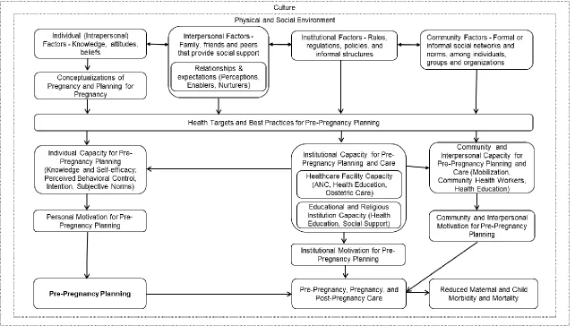 Figure 3.1 Conceptual Model: Understanding Conceptualizations and Structural Environment for Improving Pre-Pregnancy Planning for Adolescent Girls and Young Women in Harare, Zimbabwe 