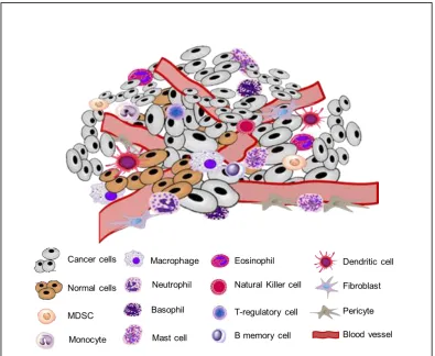 Figure 1.2: Tumor Microenvironment: Infiltration of bone marrow derived cells into the tumor microenvironment (TME)