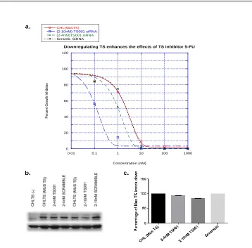 Figure 2.2: Growth Inhibition Assay with siRNA: a. Growth inhibition curve displaying enhancement of sensitivity towards 5-FU in CHL (MUS TS) cells treated with various concentration of siRNA Mus TS sequence