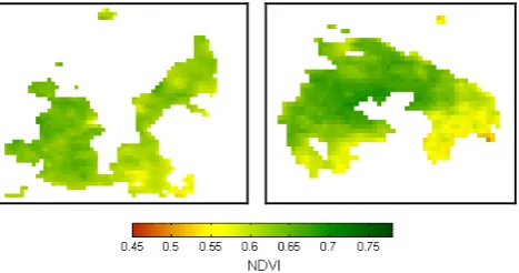 Fig. 3. Spatial distributions of the median of NDVI in May 1999–2003 over Region I (left panel) and Region II (right panel).