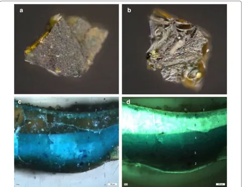 Fig. 2 Optical image in dark field of the sample coating from the 17th c. desk showing the brownish matrix with some green shades from the pigment particles a observed and b reversed; optical images from the polychrome sample build‑up under c vis light and d UV light: 1 transparent foundation layer, 2 semi opaque green layer, 3 green/blue layer, 4 green/blue layer, 5 transparent layer with white light blue fluorescence, 6 semi opaque blue/green layer, 7 dark pigmented layer(probably dirt)