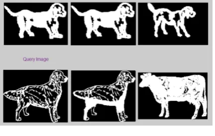 Figure 8.  Final resultant fused image(Dataset MPEG-7) 