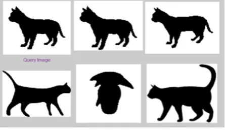 Figure 10. Image2 retievals using Moment Based Features 