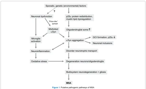 Figure 1: Putative pathogenic pathways of MSA