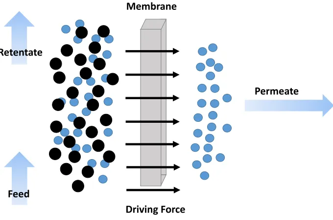 Figure 1.1 Membrane based separation process. 