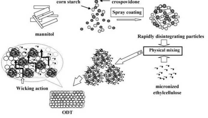 Figure: 2 Capillary Action enormous increase in the volume of granules 