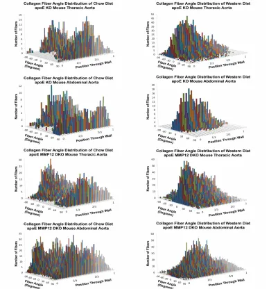 Figure 3.3 A: Representative three-dimensional (3D) histograms of fiber angle distributions as a function of relative distance from the lumen in the thoracic aorta of apolipoprotein E knockout (apoE KO) mice on a chow diet and on Western diet for 6 months