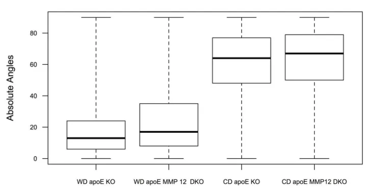 Figure 3.4. A boxplot of the four treatment groups showing the median, first, and third quartiles for each strain on a chow diet (CD) and Western diet (WD)