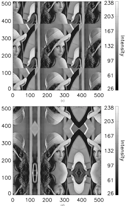Figure 2.3 continued: Common boundary conditions added to standard imageprocessing test image Lena (256 × 256) including (c) replication and (d)mirroring/reﬂection.
