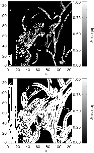 Figure 4.5: Multiresolution Support images calculated from the Wavelet