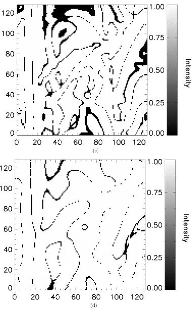 Figure 4.5 continued: Multiresolution Support images calculated from theWavelet decomposition of Figure 4.4(a) showing (c) level 3 support containingmoderately low-frequency content and (d) level 4 support containing low-frequency content
