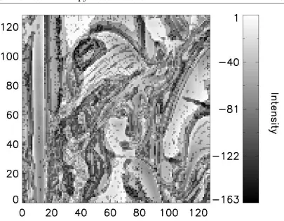 Figure 4.6: Visualisation of the Multiscale Entropy on Figure 4.4(a). Thecomplete Multiscale Entropy response for this image is -1066222 as calculatedby Equation 4.9.