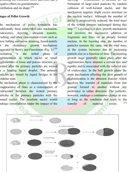 Figure 1: stages of pellet growth 