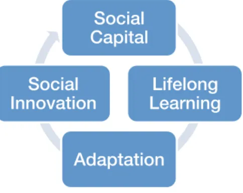 Figure 1: A virtuous circle relationship between social capital, learning,  adaptation and innovation