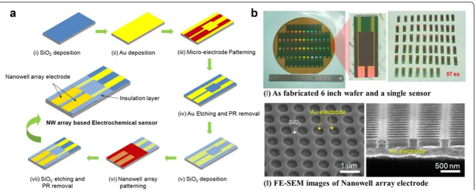 Fig. 12 of as-fabricated samples (top) and SEM images of NWA electrode (Bottom) [a Fabrication of NWA based electrochemical sensor