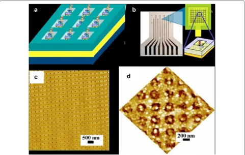 Fig. 1 a Schematic diagram of the ONW array geometry on a gold electrode designed to minimize the unwanted, nonspecific binding or aggrega-tion of biomaterials