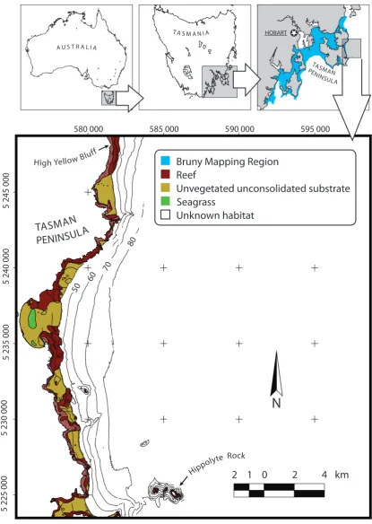 Figure 2.1:Location of study area (High Yellow Bluﬀ to HippolyteRock).Extent of Bruny Mapping Region (Barrett et al