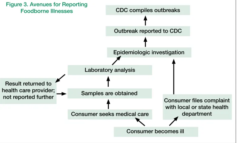 Figure 3. Avenues for Reporting 