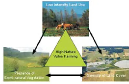 Fig. 2.1:  The Three Key Characteristics of HNV farming