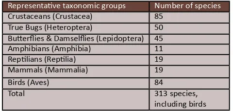 Table 3.4. Assessment of the fauna species
