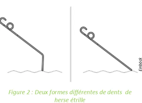 Figure 2 : Deux formes diﬀérentes de dents  de 