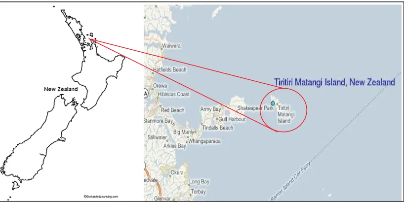Figure 1.1: Location of Tiritiri Matangi Island in the Hauraki Gulf, NZ. Images by tide-forecast.com and enchantedlearning.com