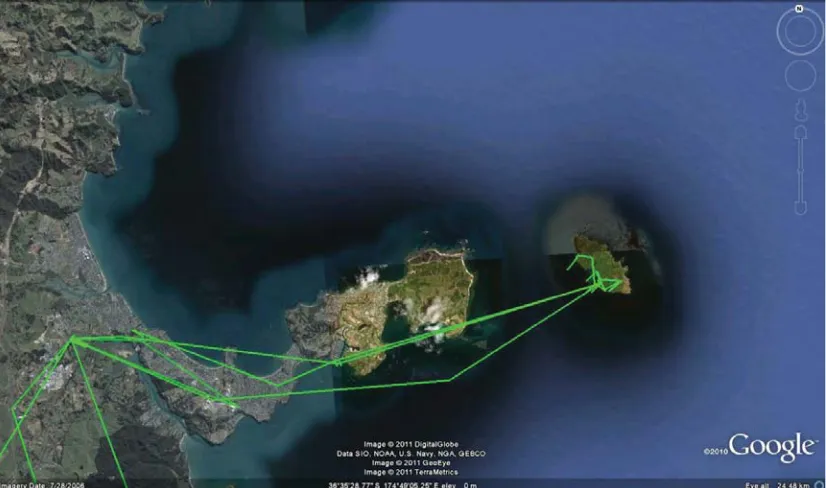 Figure 3.1: Google Earth over land test track of GPS from Red Beach to Tiritiri Matangi Island