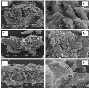 Fig. 5. TGA and DTG curves of the graphene-based materials (left) and MMM (right). 