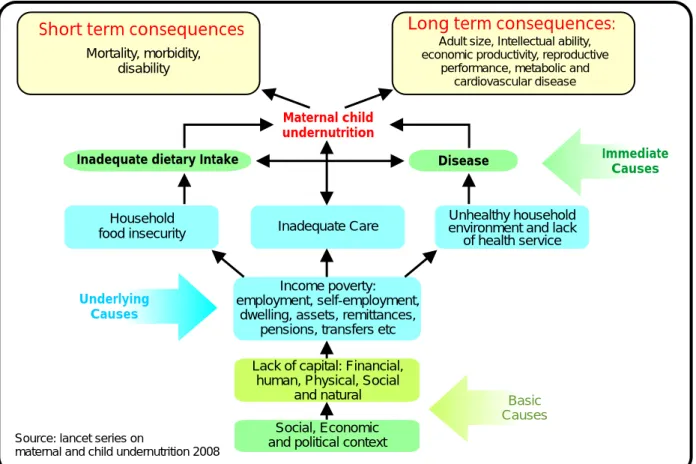 Figure 3: Framework of the causes of maternal and child undernutrition