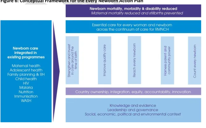 Figure 6: Conceptual Framework for the Every Newborn Action Plan 