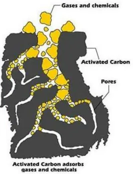 Figure 1.4 The schematic process of activated carbon adsorbing CO222 