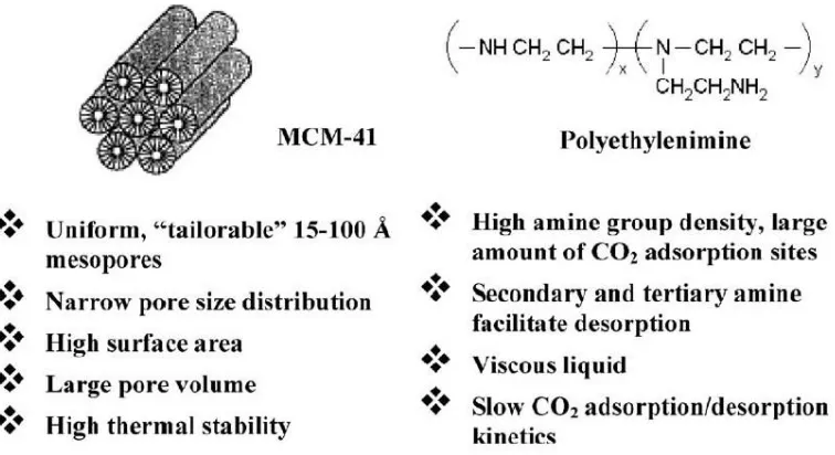 Figure 1.5 Formulation of MCM41-PEI as CO2 “molecular baskets”26