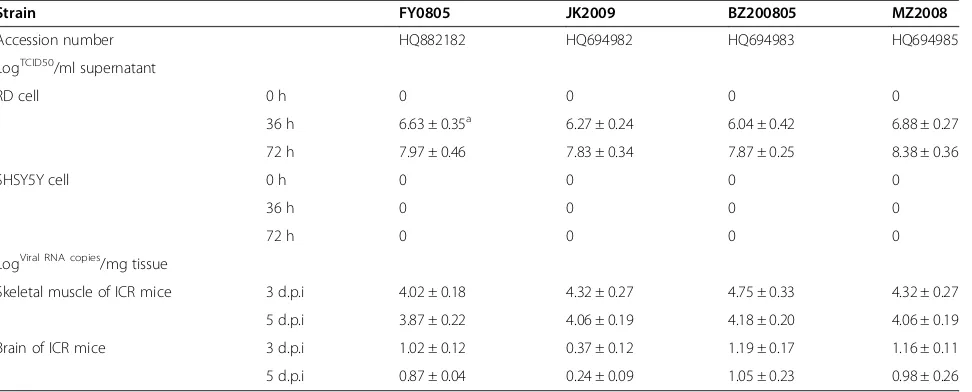Table 1 The muscle tropism of four clinical isolated EV71 strains